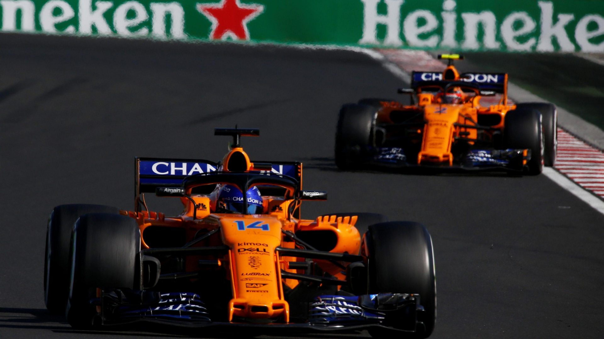 Fernando Alonso & Vandoorne